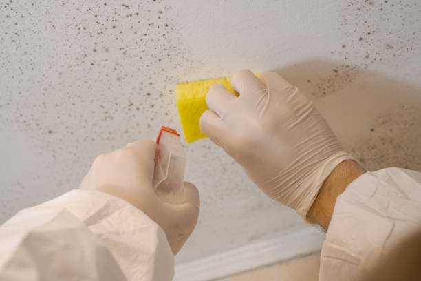 Best Residential Mold Inspection & Testing  in Palm Beach Gardens, FL